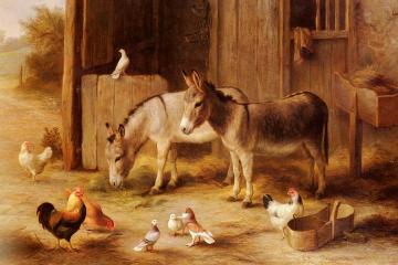 Farmyard Friends Artwork by Edgar Hunt