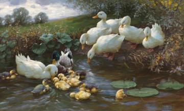 Family of ducks at the water Artwork by Alexander Koester