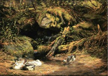Ducks at the Spring Head Artwork by Arthur Fitzwilliam Tait