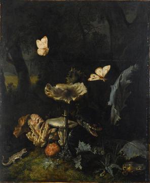 A Forest Floor Still Life with Various fungi, Thistles, an Aspic Viper, etc. Artwork by Otto van Schrieck