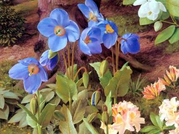 Untitled Artwork by Raymond Booth