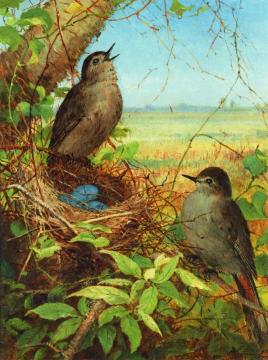 Thrushes Nest Artwork by Fidelia Bridges