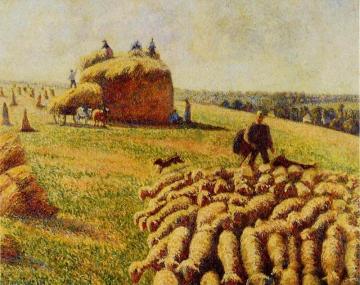 Flock of Sheep in a Field after the Harvest Artwork by Camille Pissarro