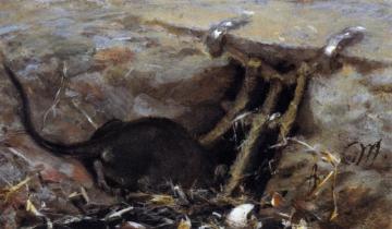 Rat In The Gutter Artwork by Adolph von Menzel