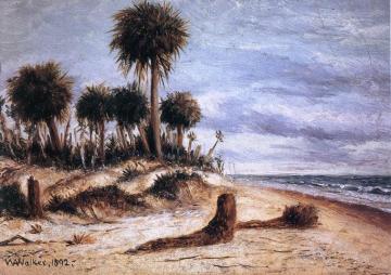 Palm Trees On The Beach At Fort Walton Artwork by William Aiken Walker