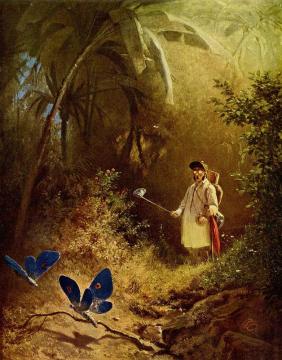 The Butterfly Catcher Artwork by Carl Spitzweg