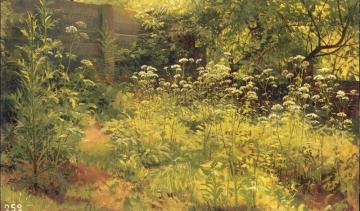 Aegopodium, Pargolovo (etude) Artwork by Ivan Ivanovich Shishkin