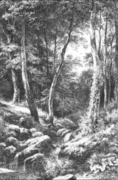 Brook In Forest Artwork by Ivan Ivanovich Shishkin