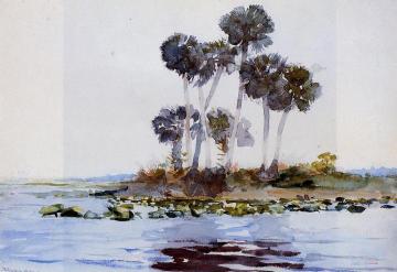 St. John's River, Florida Artwork by Winslow Homer