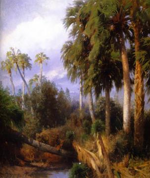 Florida Palms Artwork by Herman Herzog