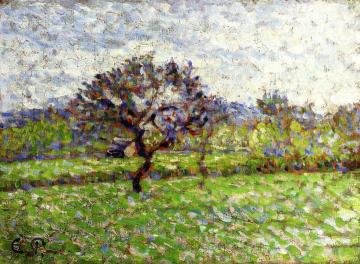 An Apple Tree at Eragny Artwork by Camille Pissarro