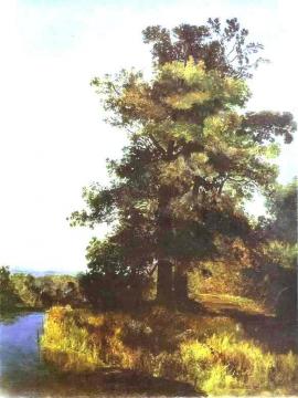 Oaks Artwork by Alexei Kondratevich Savrasov
