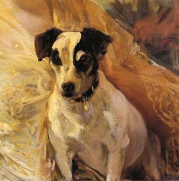 Portrait of a Jack Russell Artwork by Joaquin Sorolla y Bastida