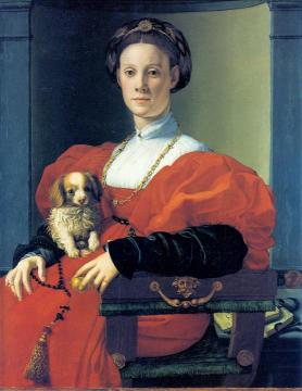 Portrait of a Lady in red with dog Artwork by Agnolo Bronzino