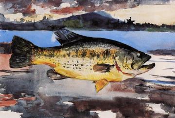 Bass Artwork by Winslow Homer