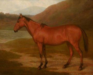 Foal of Mare and Quagga Artwork by Jacques-Laurent Agasse