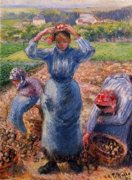 Peasants Harvesting Potatoes Artwork by Camille Pissarro