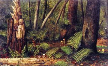 Forest With Ferns And Mushrooms Artwork by William Aiken Walker