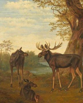 Moose Artwork by Jacques-Laurent Agasse