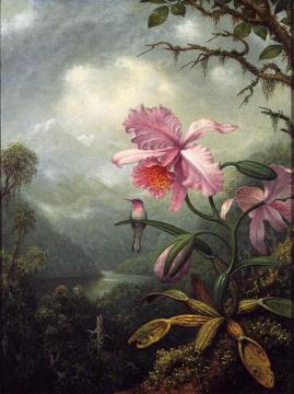 Hummingbird Perched On An Orchid Plant Artwork by Martin Johnson Heade