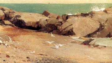 Rocky Coast and Gulls Artwork by Winslow Homer
