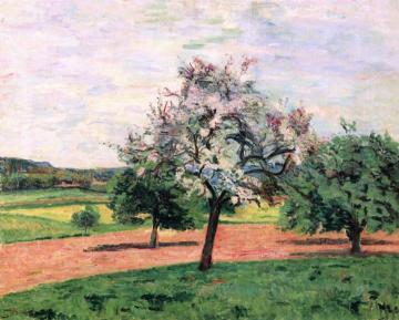 Apple Trees In Flower, Ile De France Artwork by Armand Guillaumin