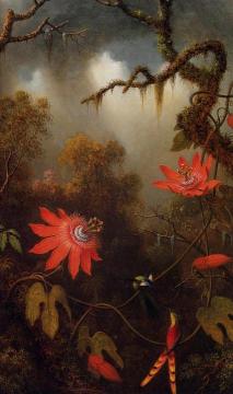Two Hummingbirds Perched on Passion Flower Vines Artwork by Martin Johnson Heade