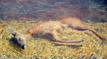 Capriolo Morto Artwork by Giovanni Segantini
