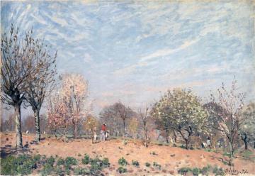 Apple Trees in Flower, Spring Morning Artwork by Alfred Sisley