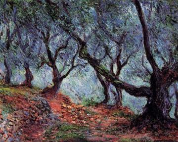 Grove of Olive Trees in Bordighera Artwork by Claude Oscar Monet