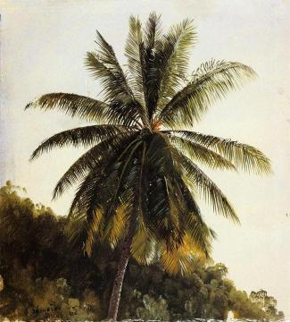 Palm Trees, West Indies Artwork by Frederic Edwin Church