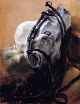 Head Of Horse Wearing Bridle, Lying Down Artwork by Adolph von Menzel