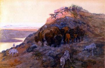 Buffalo Herd at Bay Artwork by Charles Marion Russell