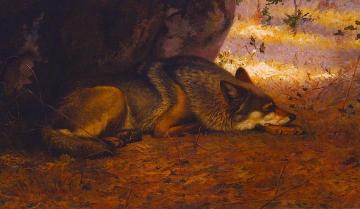 The Sleeping Wolf Artwork by Ernest Thompson Seton