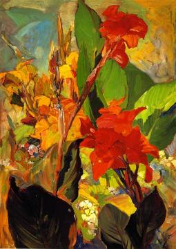 Cannas Artwork by Franz Bischoff