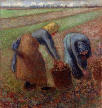 Potato Harvest Artwork by Camille Pissarro