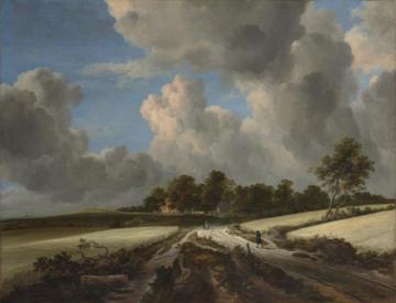 Wheat Fields Artwork by Jacob van Ruisdael