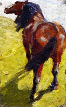 Study of a Horse Artwork by Franz Marc