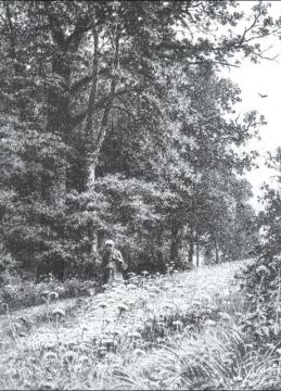 On A Boundary Path Artwork by Ivan Ivanovich Shishkin