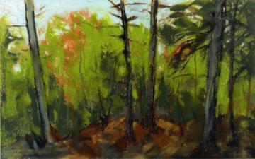Woodland Scene, Monhegan, Maine Artwork by Robert Henri