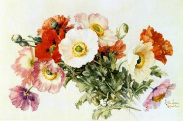 Iceland Poppies Artwork by Raoul de Longpre