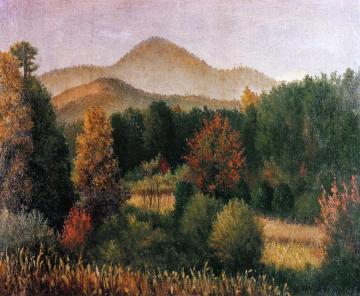 Wooded Mountain Scene In North Carolina Artwork by William Aiken Walker