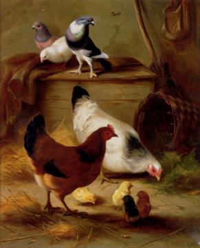 Pigeons And Chickens Artwork by Edgar Hunt