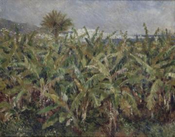 Field Of Banana Trees Artwork by Pierre Auguste Renoir