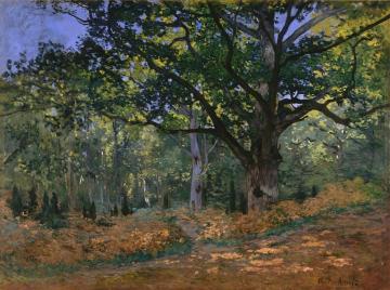 The Bodmer Oak, Fontainebleau Artwork by Claude Oscar Monet
