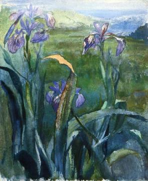 Blue Iris, Study Artwork by John La Farge