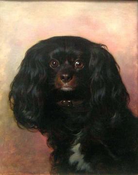 Portrait Of A Favorite Dog Artwork by Friedrich von Amerling