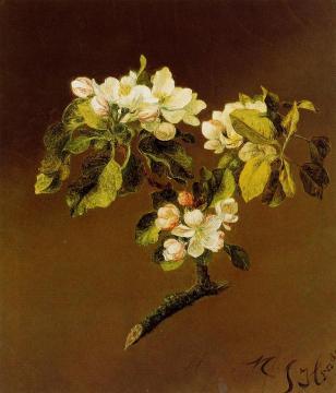 A Spray of Apple Blossoms Artwork by Martin Johnson Heade