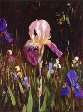 Iris Artwork by Hermann Dudley Murphy
