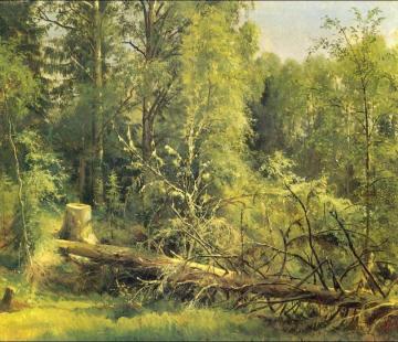 The Cut Down Tree Artwork by Ivan Ivanovich Shishkin